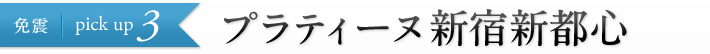 �v���e�B�[�k�V�h���s�S