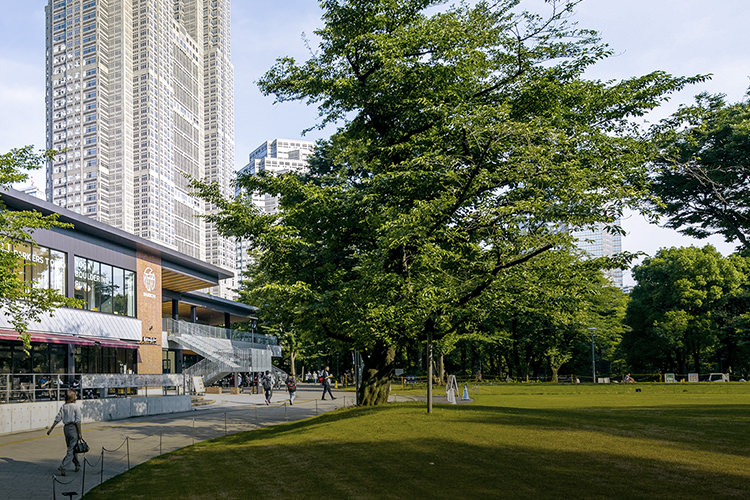 新宿中央公園