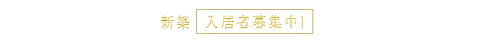 インフォメーションのテキスト